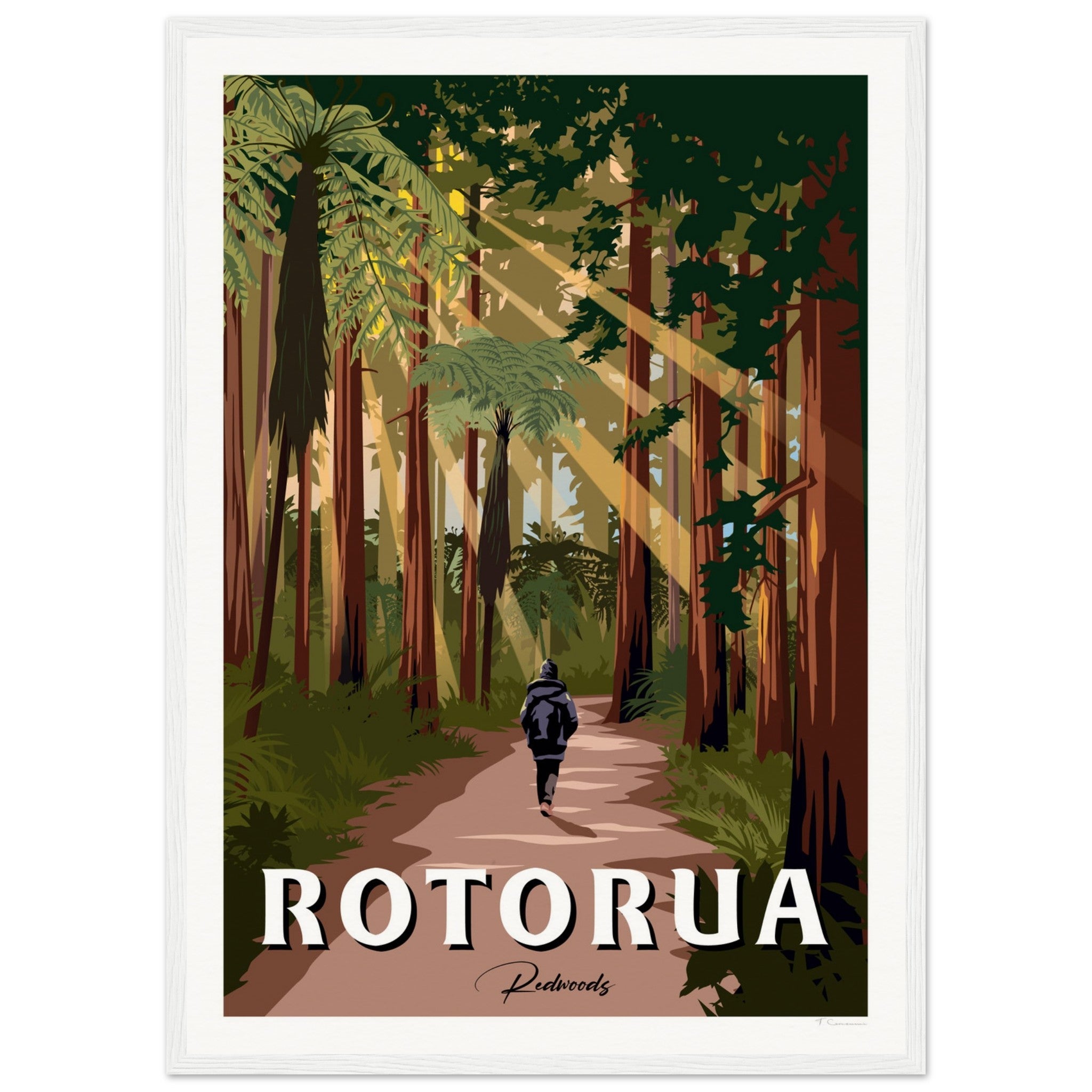 Rotorua Redwood Forest New Zealand Travel Poster