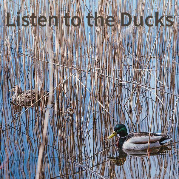 lakeside sounds - relaxound - artevo